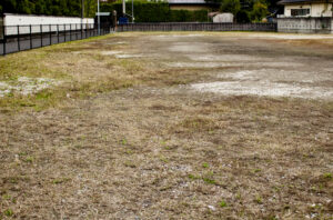 草の生えた更地