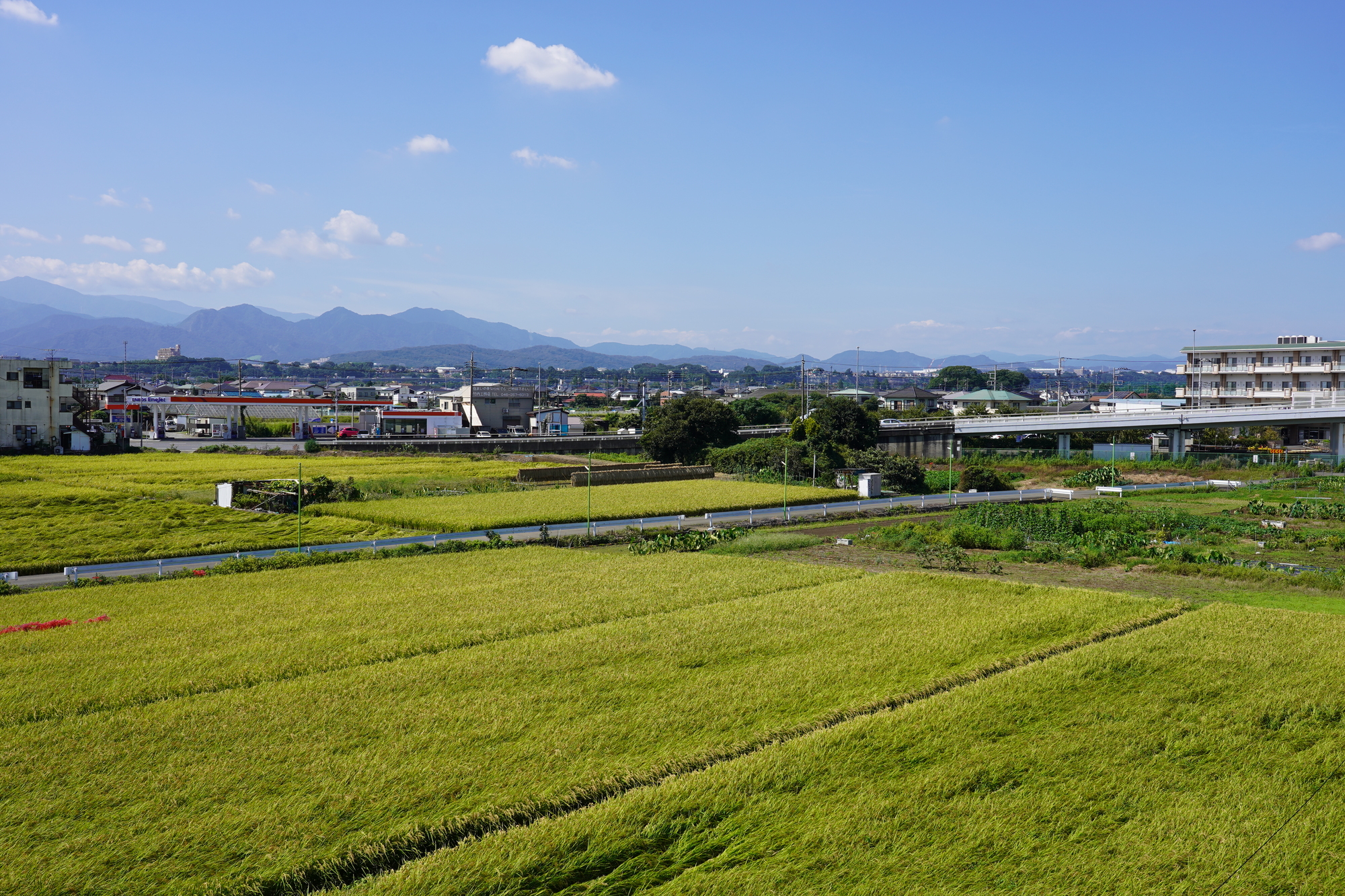 世田谷区の土地売却相場｜路線価・公示地価